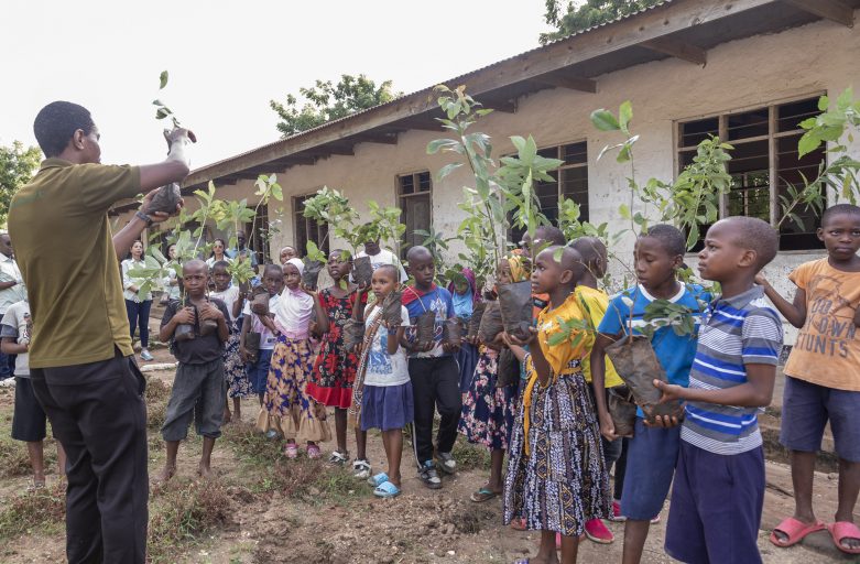 Partner Spotlight: Restoring Tanzania’s Coastline with Mikoko Development Foundation